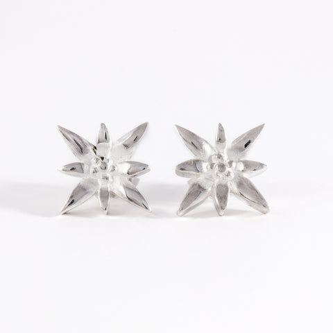 Edelweiss Ohrstecker