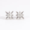 Edelweiss Ohrstecker